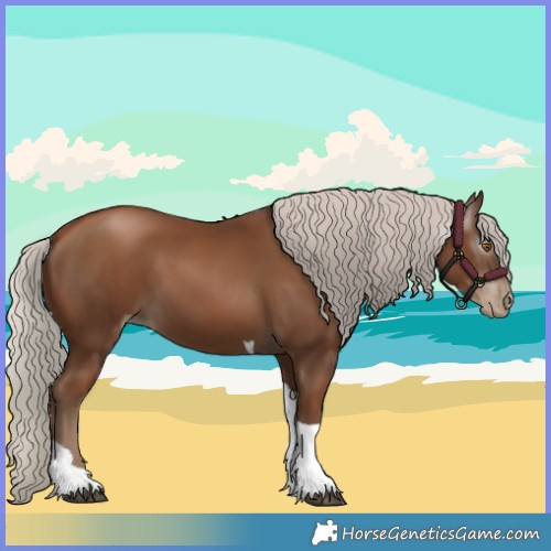Horse Color:Gray Silver Black Pearl Tobiano 