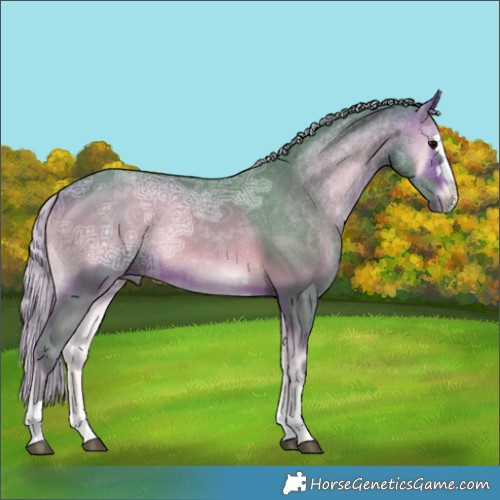 Horse Color:Watercolor Silver Bay Ice Onyx Rabicano 