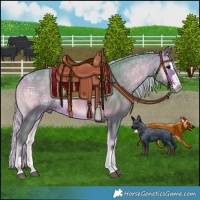 Horse Color:Watercolor Silver Bay Ice Onyx Rabicano 