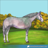 Horse Color:Watercolor Silver Bay Ice Onyx Rabicano 