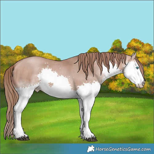 Horse Color:Brown Pearl Mushroom Splash Rabicano 