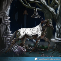 Horse Color:Black Ice Appaloosa 