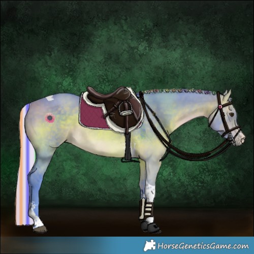 Horse Color:Painted Watercolor Silver Brown Dun Sabino Tobiano Rabicano