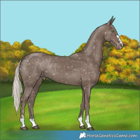 Horse Color:Silver Black Snowflake Varnish