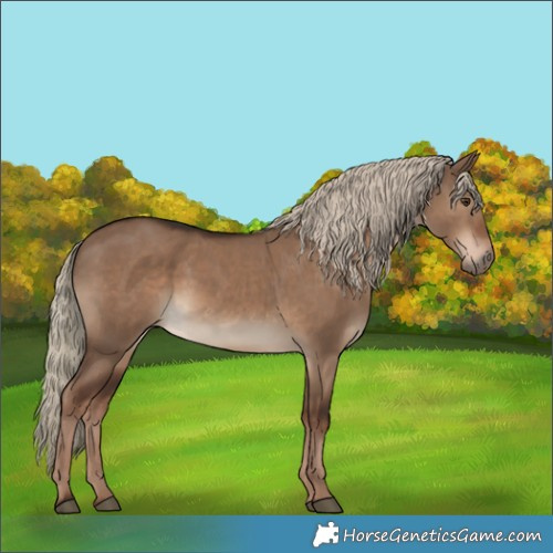Horse Color:Liver Red Dun 
