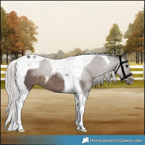 Horse Color:Silver Black Tobiano 