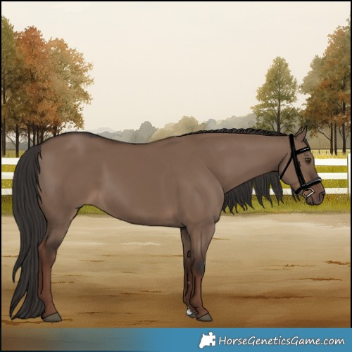 Horse Color:Liver Red Dun 