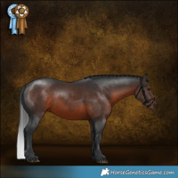 Horse Color:Brown 