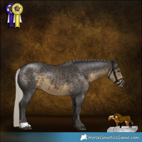 Horse Color:Silver Smoky Black 