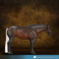 Horse Color:Silver Brown