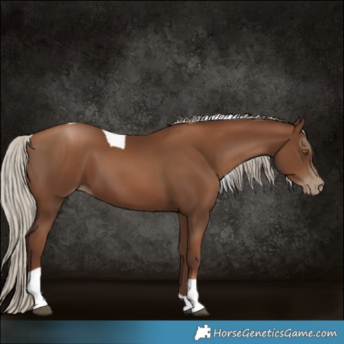 Horse Color:Gray Silver Black Pearl Tobiano 