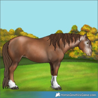 Horse Color:Gray Liver Chestnut Pearl Tobiano 