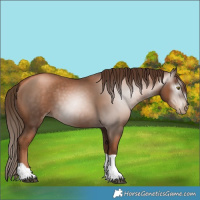 Horse Color:Gray Liver Chestnut Pearl Tobiano 