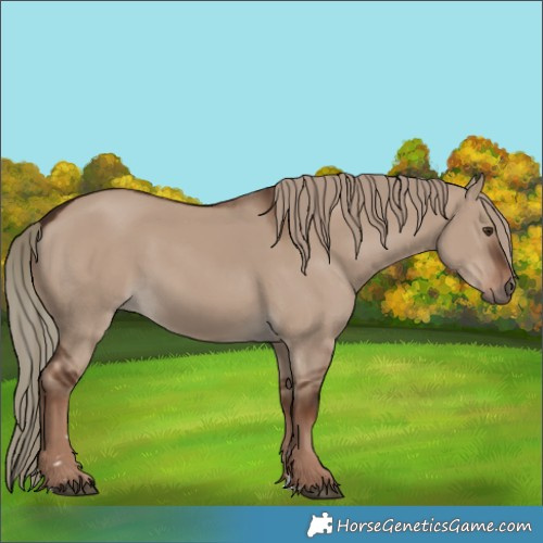 Horse Color:Liver Red Dun 