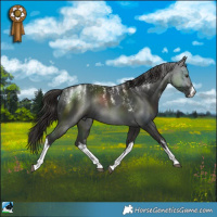 Horse Color:Powder White White Spotted Liver Chestnut Rabicano