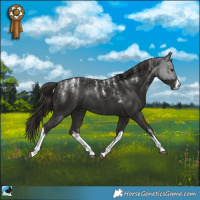 Horse Color:Powder White White Spotted Liver Chestnut Rabicano 