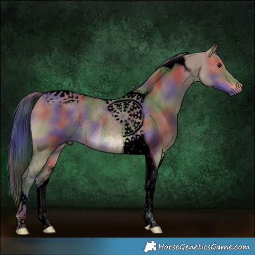 Horse Color:Void Nacre Brown Dun Tobiano Rabicano 