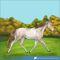 Horse Color:Red Roan Pearl Tobiano Frame 