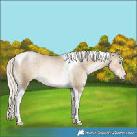 Horse Color:Silver Smoky Black Pearl Tobiano 
