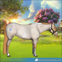 Horse Color:Red Roan Pearl Tobiano Frame 