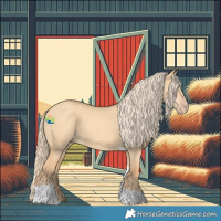 Horse Color:Gold Champagne Dun Tobiano 