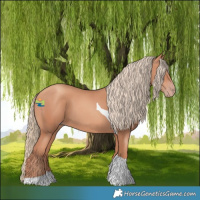 Horse Color:Gold Champagne Tobiano 