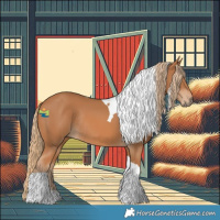 Horse Color:Chestnut Tobiano Rabicano 