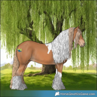 Horse Color:Chestnut Tobiano Rabicano