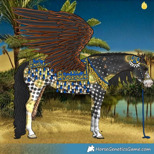 Horse Color:Brown Sabino 
