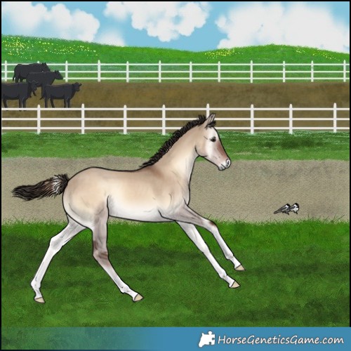 Horse Color:Liver Red Dun Onyx 