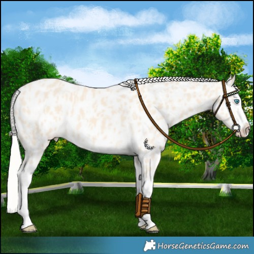 Horse Color:Cremello Splash Near Leopard  and Cremello Splash Near Leopard 