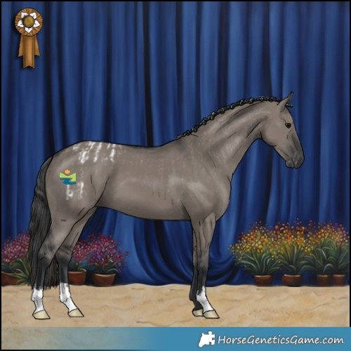 Horse Color:Grullo Varnish  and Grullo 