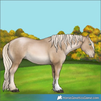 Horse Color:Chocolate Palomino Pearl Mushroom Sabino