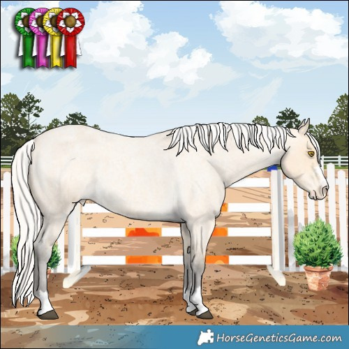 Horse Color:Silver Buckskin Roan Varnish 