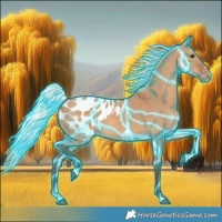 Horse Color:Thunderstruck Silver Bay Dun Blanket 