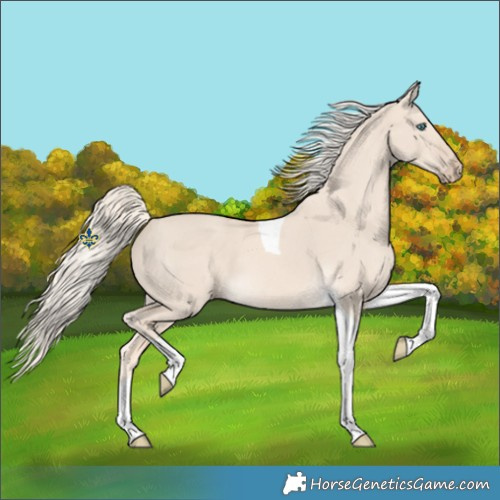Horse Color:Cremello Dun Tobiano 
