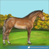 Horse Color:Chocolate Palomino Mushroom 