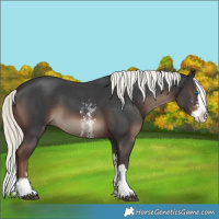 Horse Color:Liver Chestnut Mushroom Sabino Splash