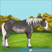 Horse Color:Liver Chestnut Mushroom Sabino Splash 