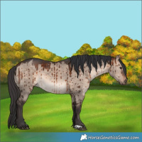 Horse Color:Bay Dun Mushroom Brindle