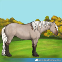 Horse Color:Liver Red Dun Mushroom