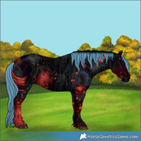 Horse Color:ERROR: UNKNOWN ANOMALY