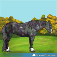 Horse Color:Nacre Smoky Black Ice