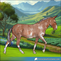 Horse Color:Painted Chestnut Sabino Rabicano 