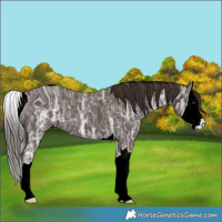 Horse Color:ERROR: UNKNOWN ANOMALY