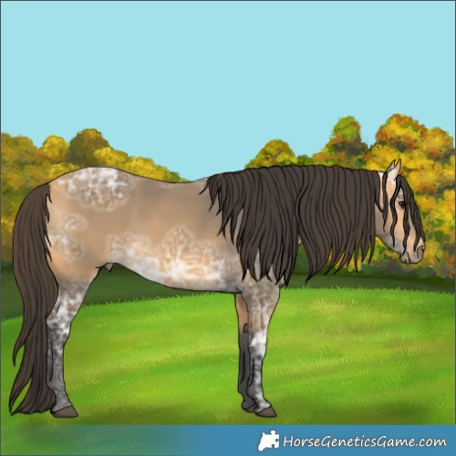 Horse Color:Buckskin Ice 