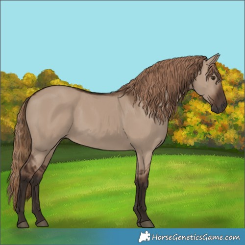 Horse Color:Liver Red Dun Rabicano 