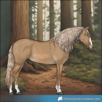 Horse Color:Chocolate Palomino Dun 