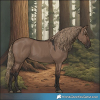 Horse Color:Liver Red Dun Rabicano 