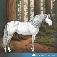 Horse Color:Gray Liver Red Dun Blanket